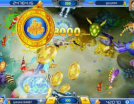 开云足球最新版